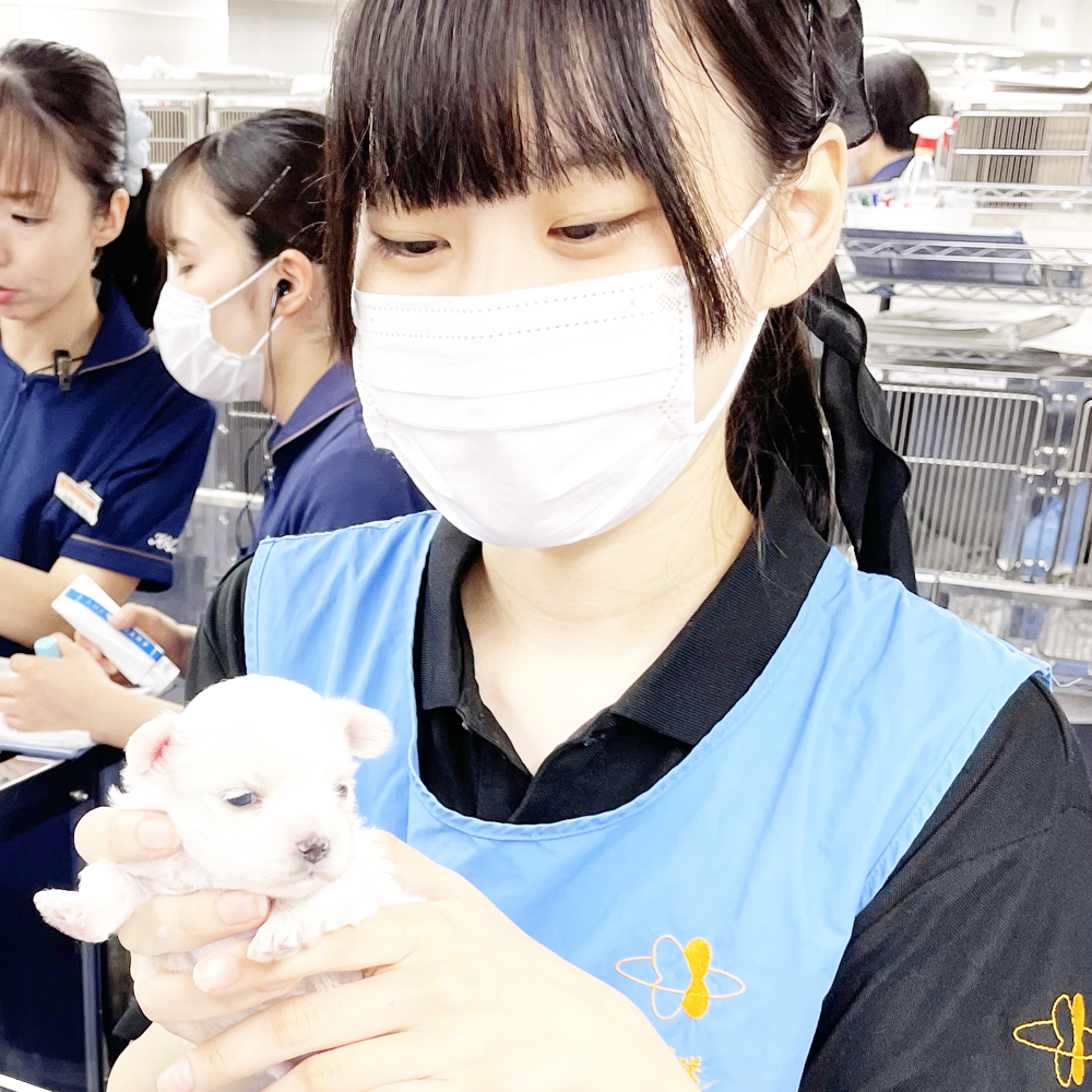 QN͎qAPN͐̂b